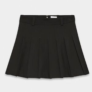 Aritzia Pleated Skirt